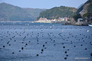 Ouest Shikoku