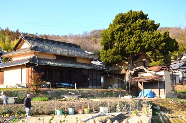 Maison tradi Japon
