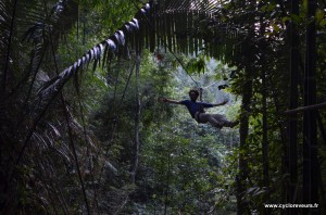 Tyrolienne - Gibbon experience - Huay Xay - Bokeo - Laos