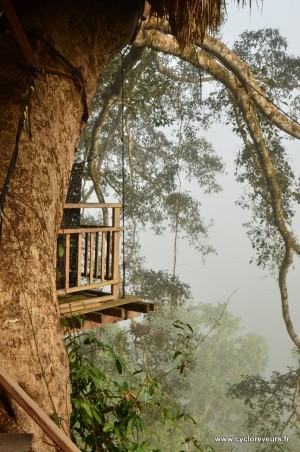 Maison dans les arbres - Gibbon experience - Huay Xay - Bokeo - Laos